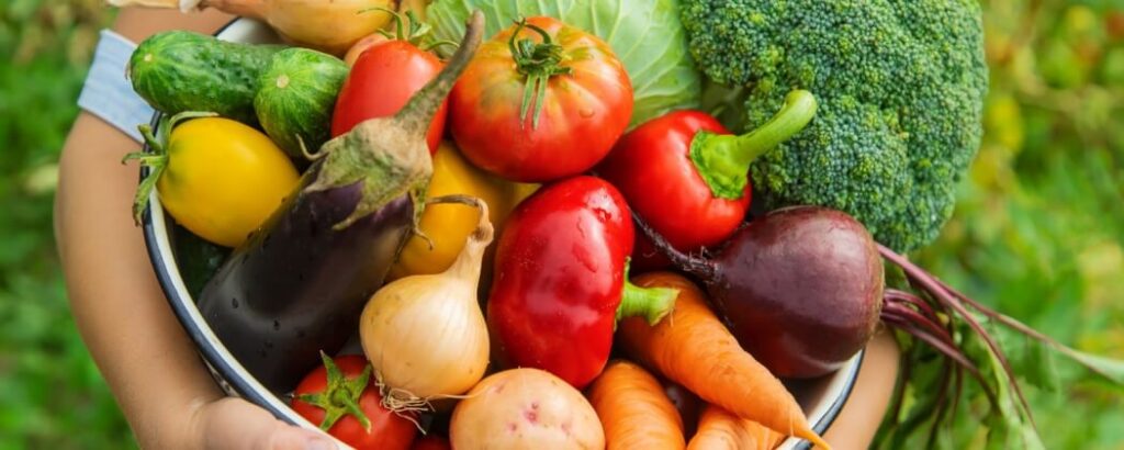 kosz z warzywami nauka słownictwa włoskiego Preston Publishing warzywa