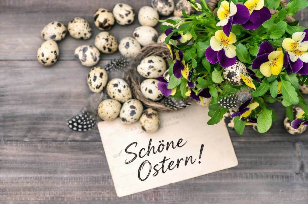 kartka z życzeniami wielkanocnymi po niemiecku otoczona przez bratki oraz jajeczka nauka języków z Preston Publishing